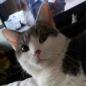 Meet your Posher, Amber